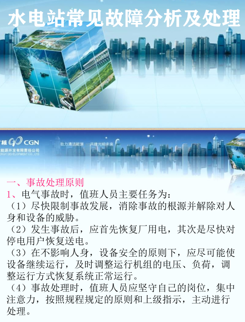 水电站常见故障分析及处理资料