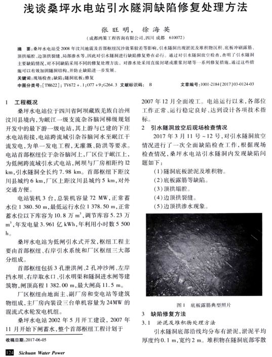浅谈桑坪水电站引水隧洞缺陷修复处理方法